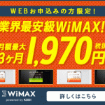【3WiMAX】”充実のキャッシュバックあり”KDDIのモバイルwifiルーター